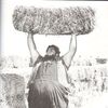 haystacks500