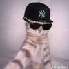 unish.tamang8