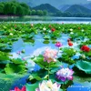 tinhlinh13
