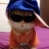 happyhatdog_