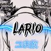 vvslario