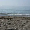 martina_636363