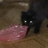 mrtnsn