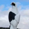 aliresan55
