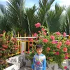 quachthingoc123