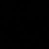 rzyp12