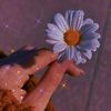 .fatma911