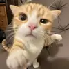 bsnw.w