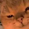 user151977339