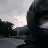 wooddysteelly