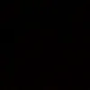 tayger_095
