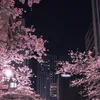 anasives