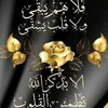 user3765139627091