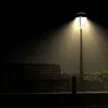 hauuu_203