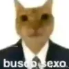gato_impresario