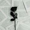 _zinobia.06