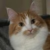 montythecreamsicle