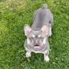 ticktoktoptick123