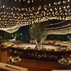 Style flowers est زهور ستايل