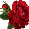 zahrajad732