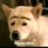 papaconqueso.xd