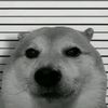 dcune044