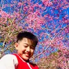 hanhuy1015