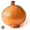 onions_raw