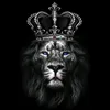 adildhillon23