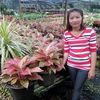 chanapornpetpaiboon