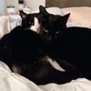 oscar.phoebe