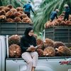 rizqy.haryanto