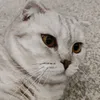bublikgf_xz