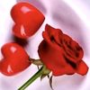 gulya.1111