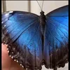 cidaribeiro287