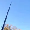 cellinook