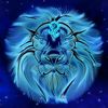 leo593077
