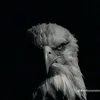 ashraf45_0