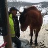 stigmortenmoen0