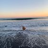 izzy.m1li