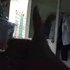 huynhbaoduy19