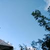 gurlyy788