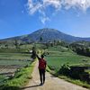 ragil.view