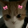 _loara