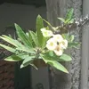 maria.moura200