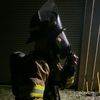 bears1776
