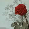 userbzkjf3udt3