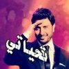 alaamhamadhassan