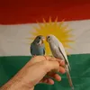 delil_redor