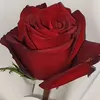 lnooor4433